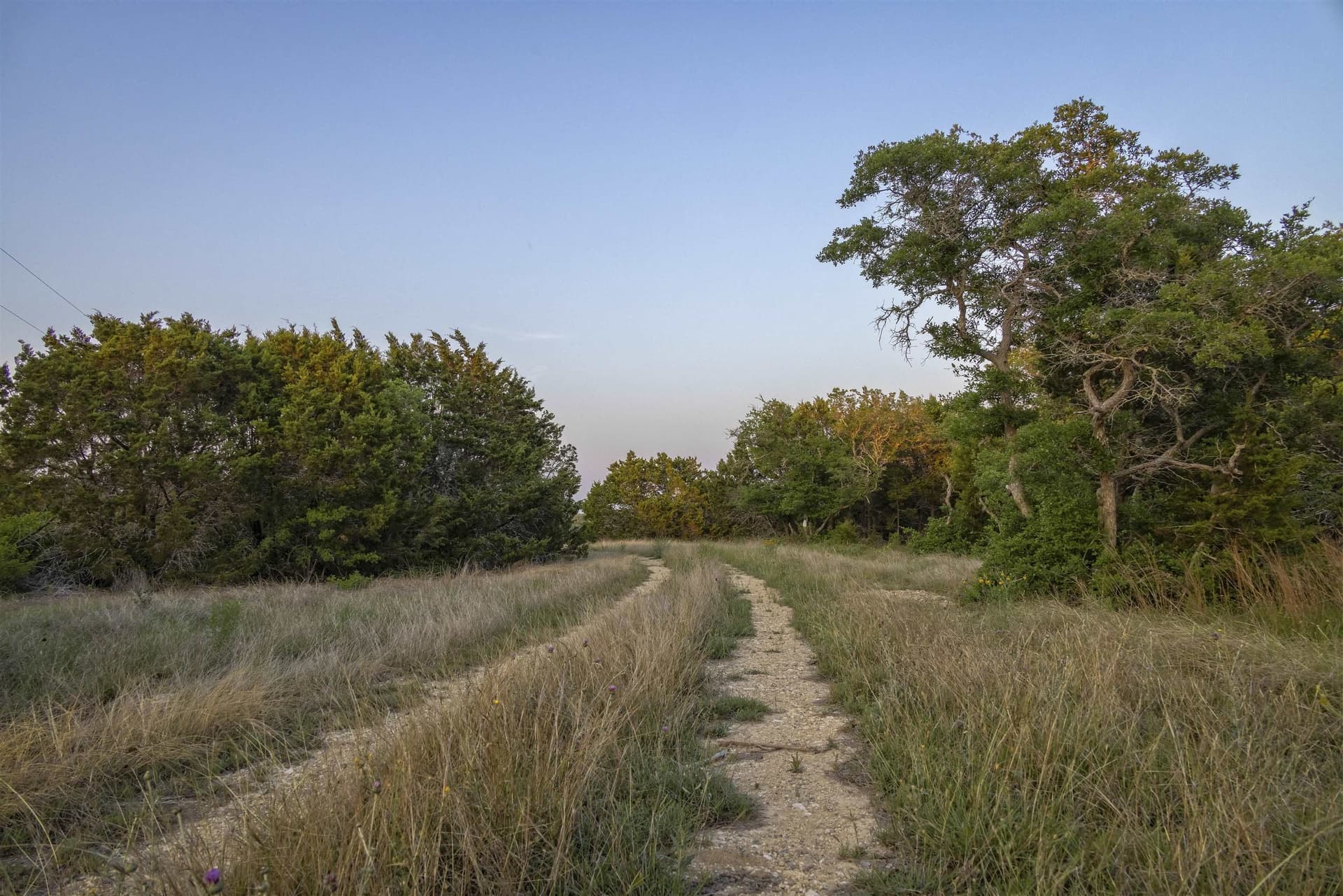 14.87 acres in Burnet County gallery image 3