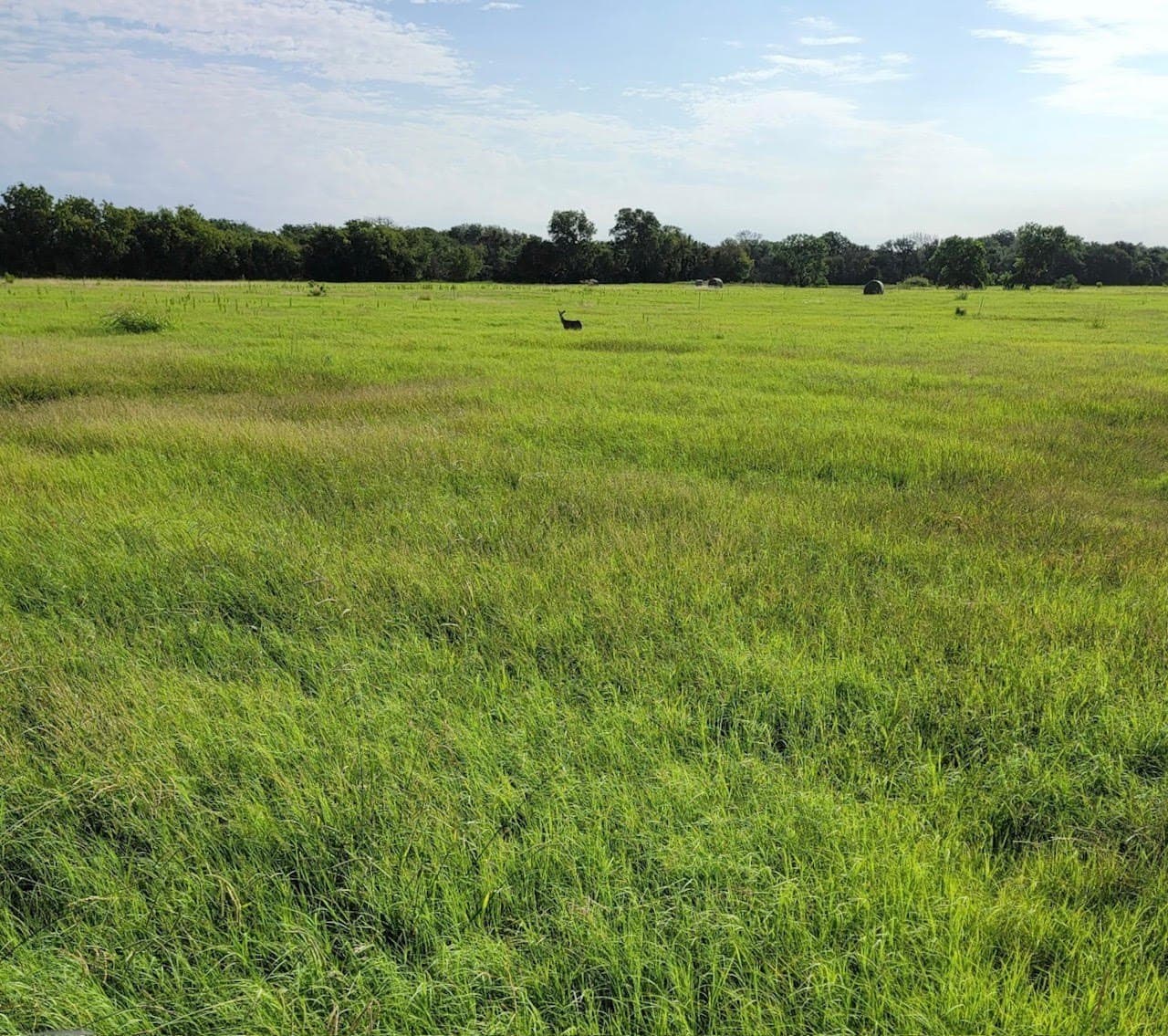 107.63 acres in Denton County gallery image 2