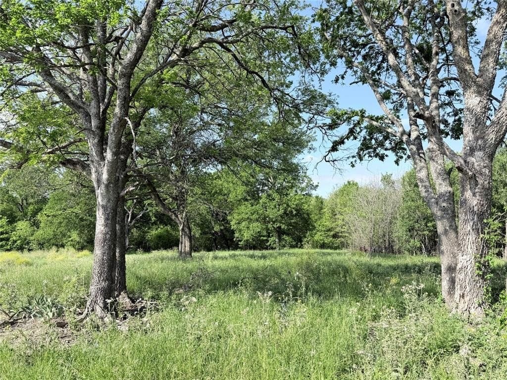 10 acres in Hill County gallery image 2