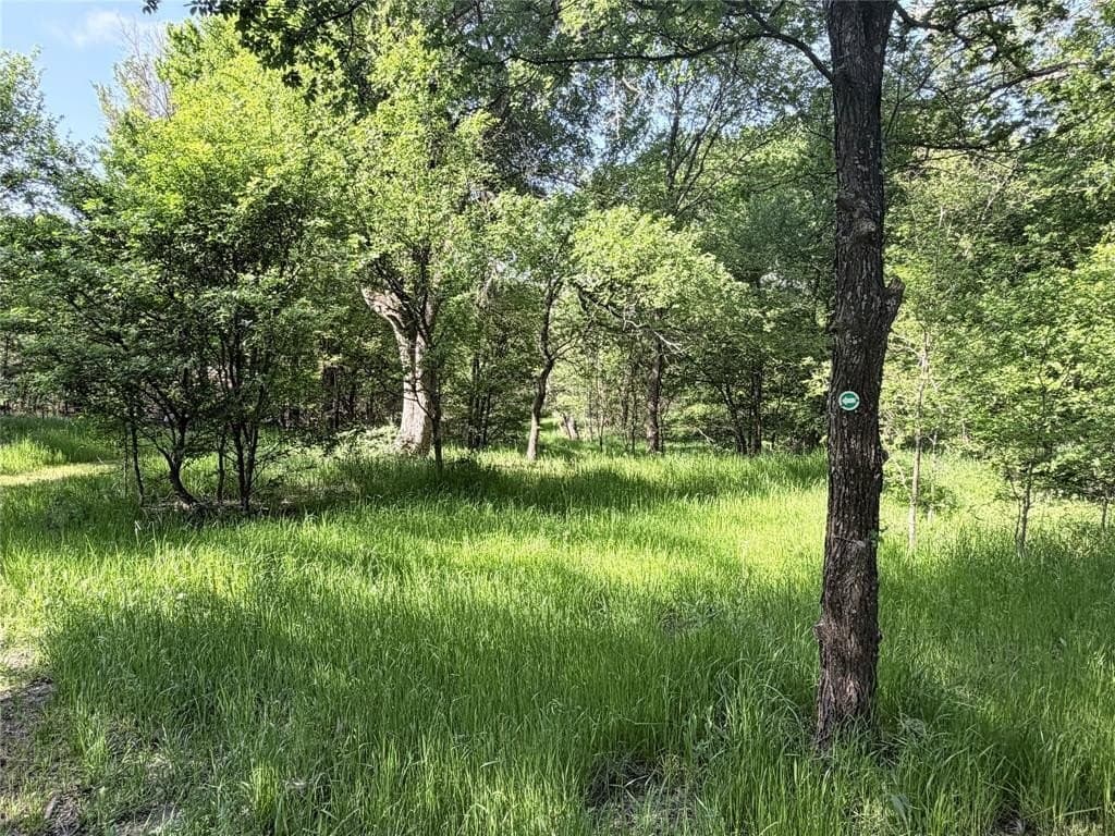 10 acres in Hill County gallery image 4