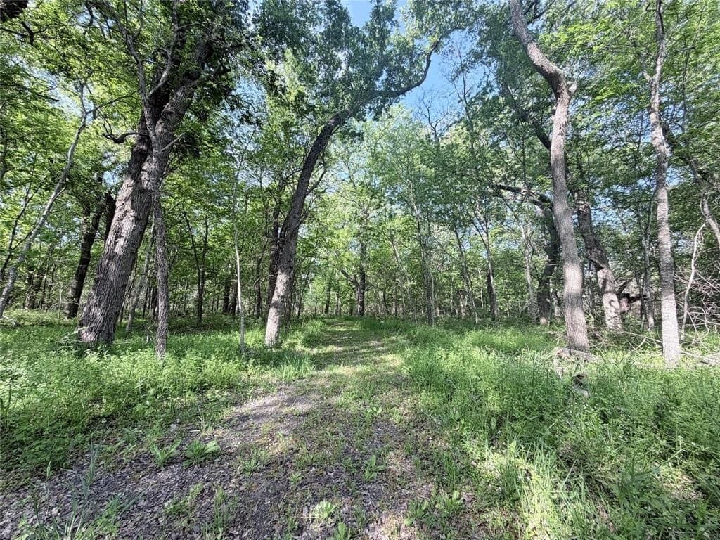 10 acres in Hill County featured view