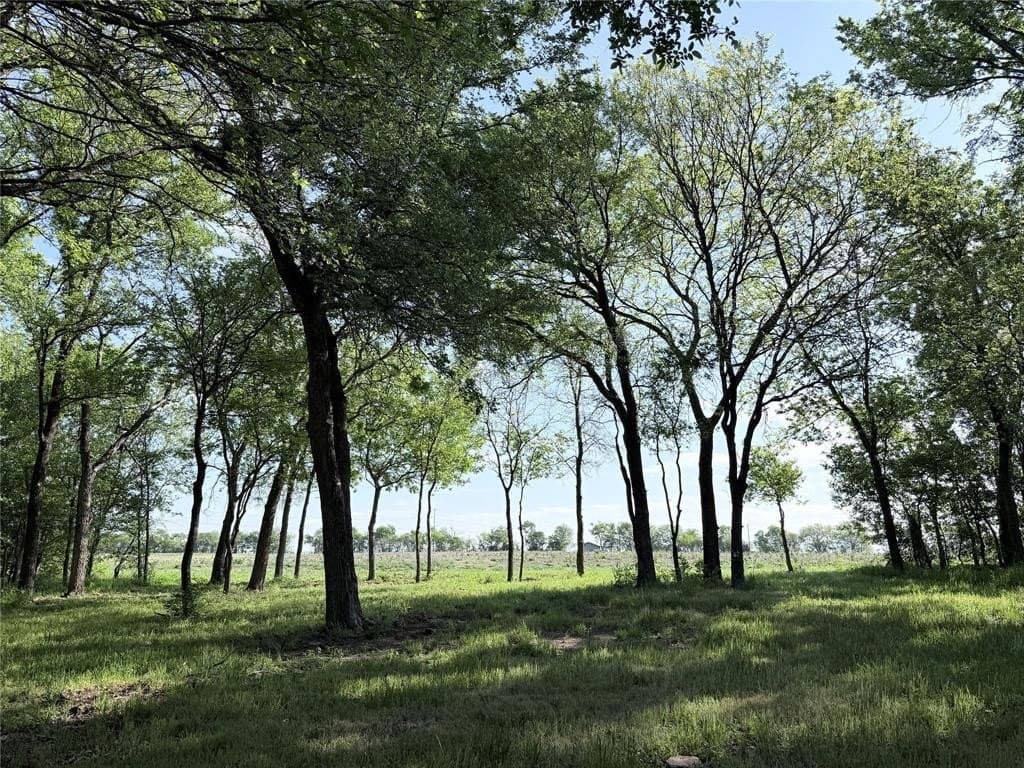 10 acres in Hill County gallery image 3