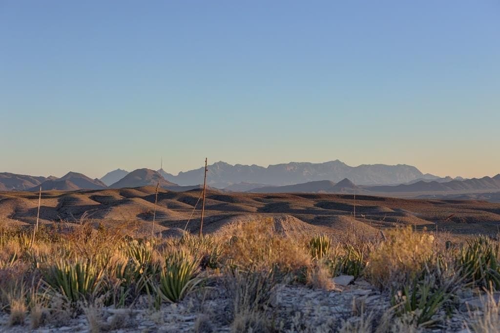 646.5 acres in Brewster County