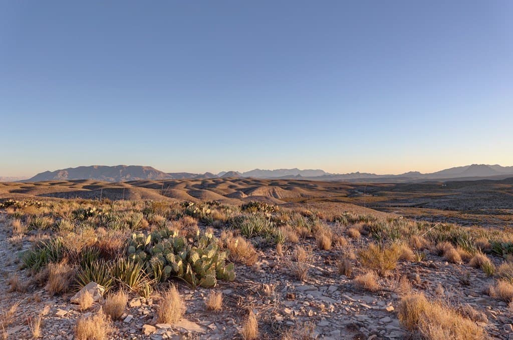 646.5 acres in Brewster County - photo 2