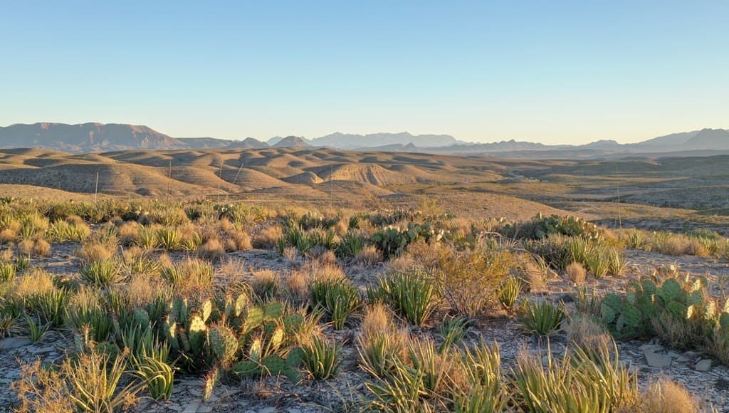 646.5 acres in Brewster County - photo 18