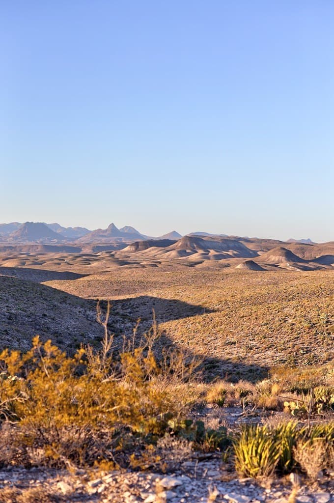 646.5 acres in Brewster County - photo 5