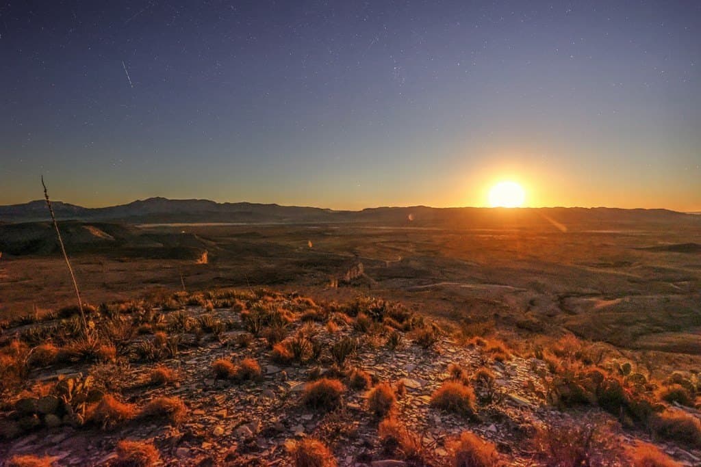 646.5 acres in Brewster County - photo 12