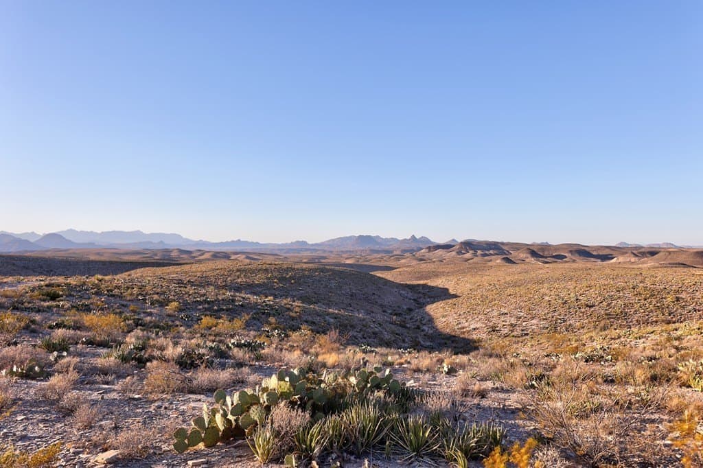 646.5 acres in Brewster County - photo 31