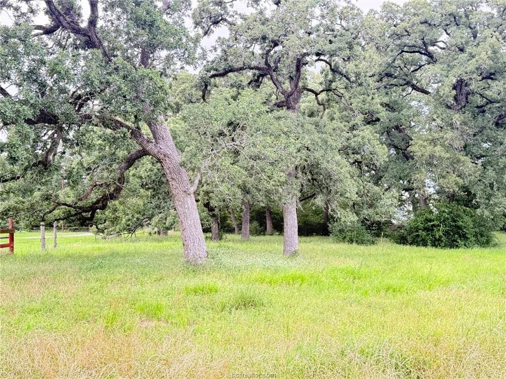 5.14 acres in Brazos County - photo 34