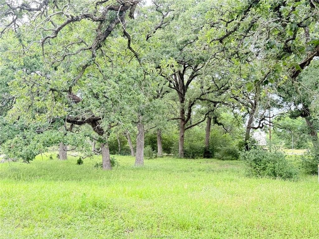 5.14 acres in Brazos County - photo 37
