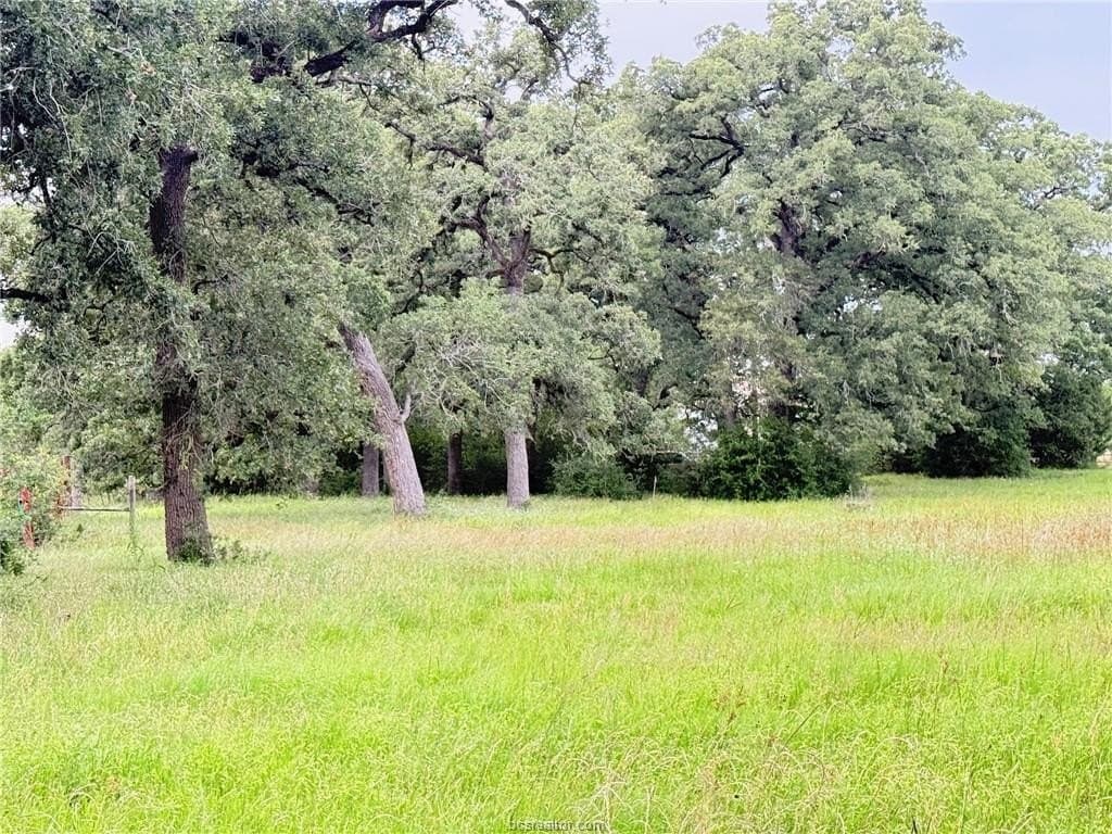 5.14 acres in Brazos County - photo 33