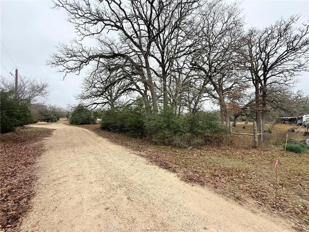 5.14 acres in Brazos County gallery image 2