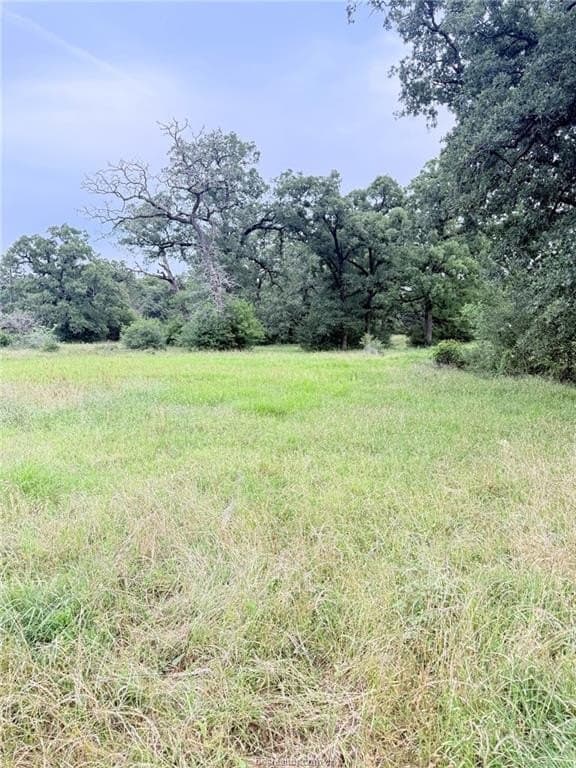 5.14 acres in Brazos County - photo 28