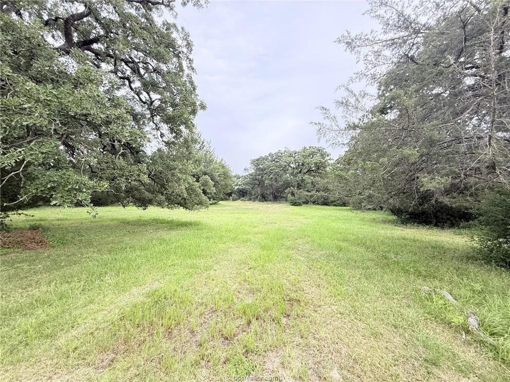 5.14 acres in Brazos County - photo 11