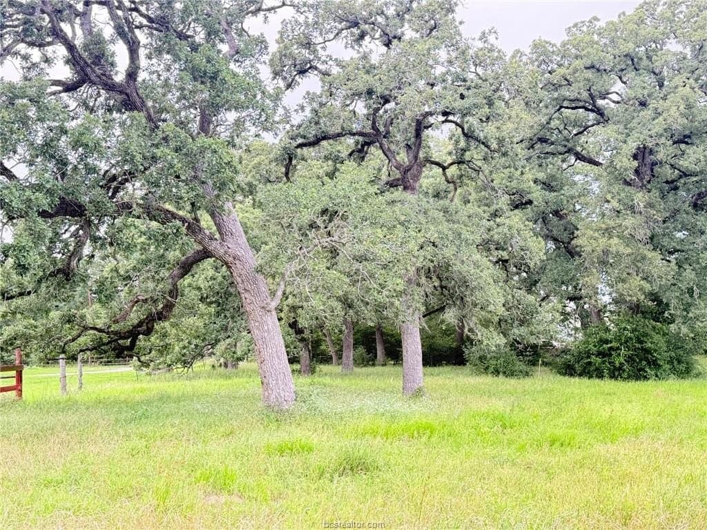 5.14 acres in Brazos County - photo 35