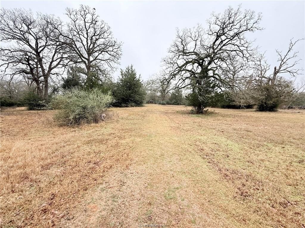 5.14 acres in Brazos County gallery image 3