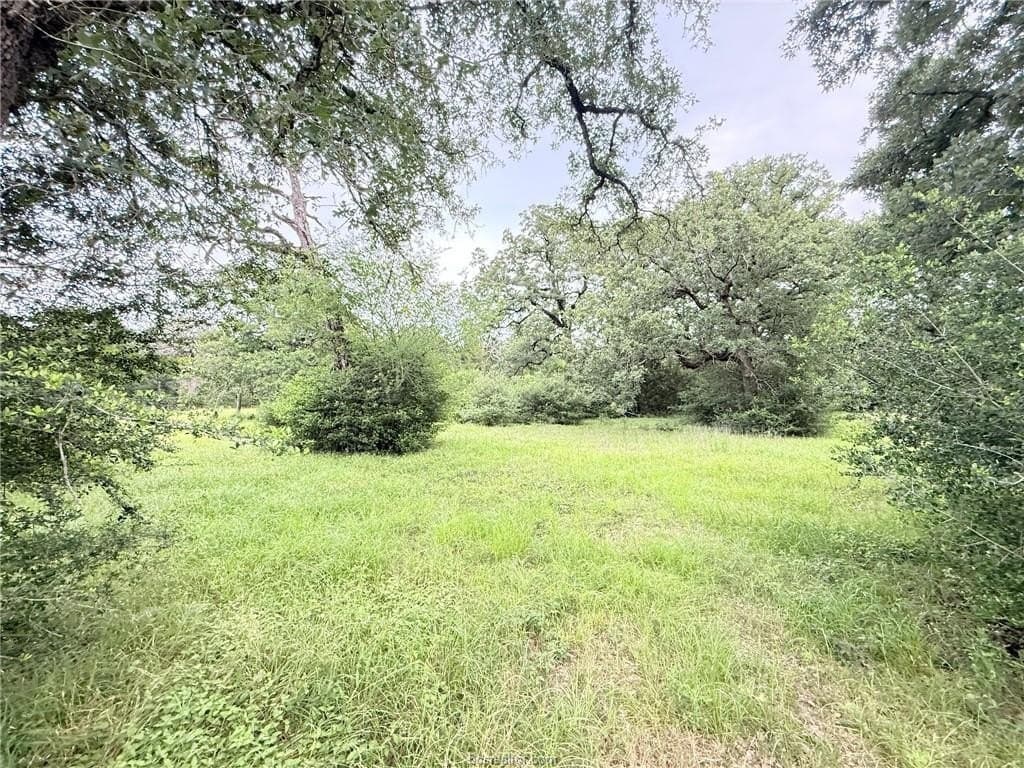 5.14 acres in Brazos County - photo 31