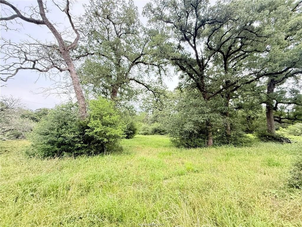 5.14 acres in Brazos County - photo 30