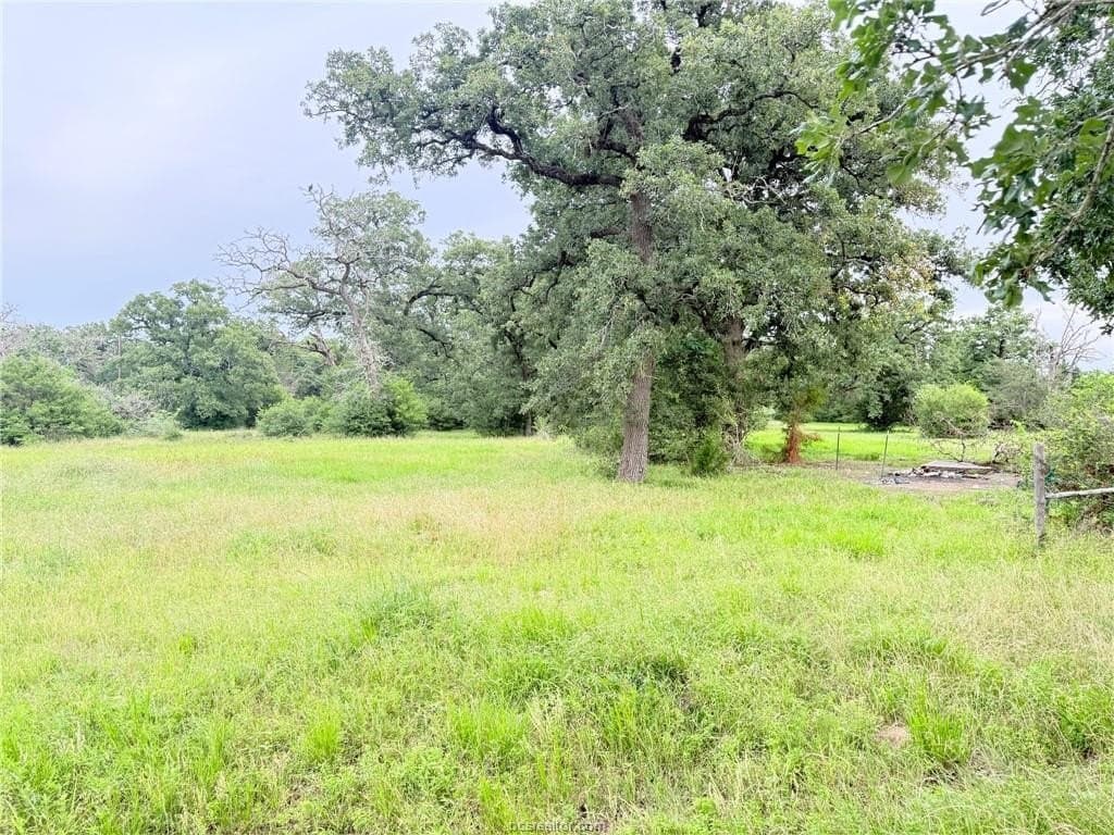 5.14 acres in Brazos County - photo 6