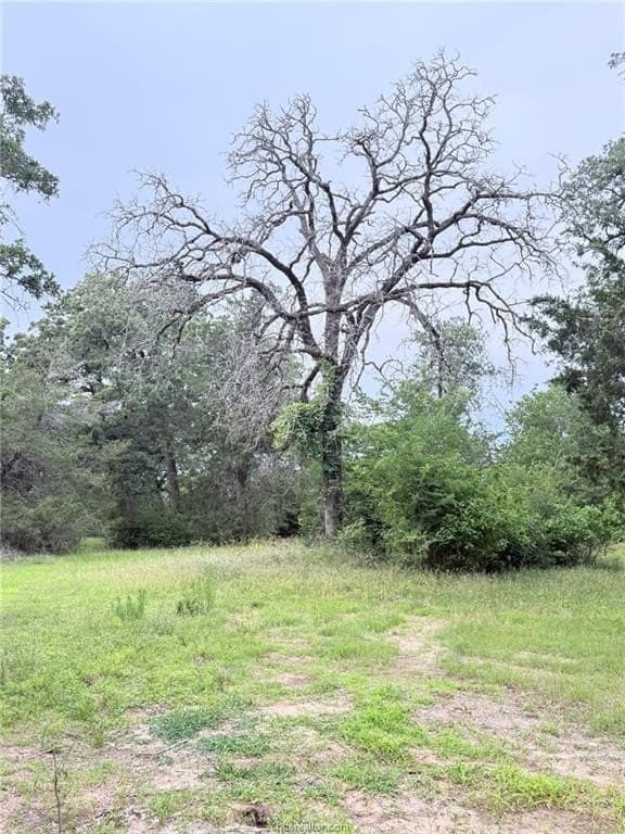 5.14 acres in Brazos County - photo 21