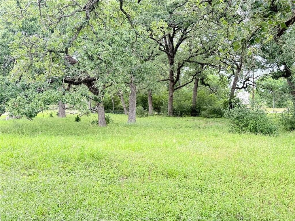 5.14 acres in Brazos County - photo 36