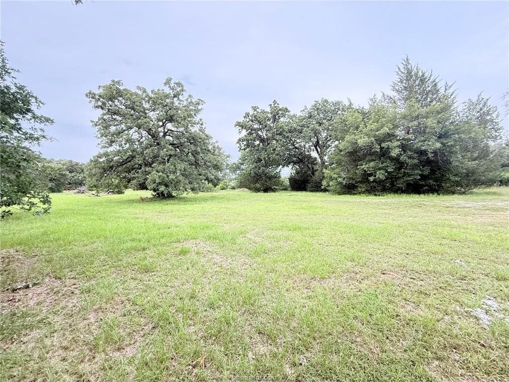 5.14 acres in Brazos County - photo 15