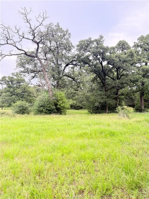 5.14 acres in Brazos County - photo 29