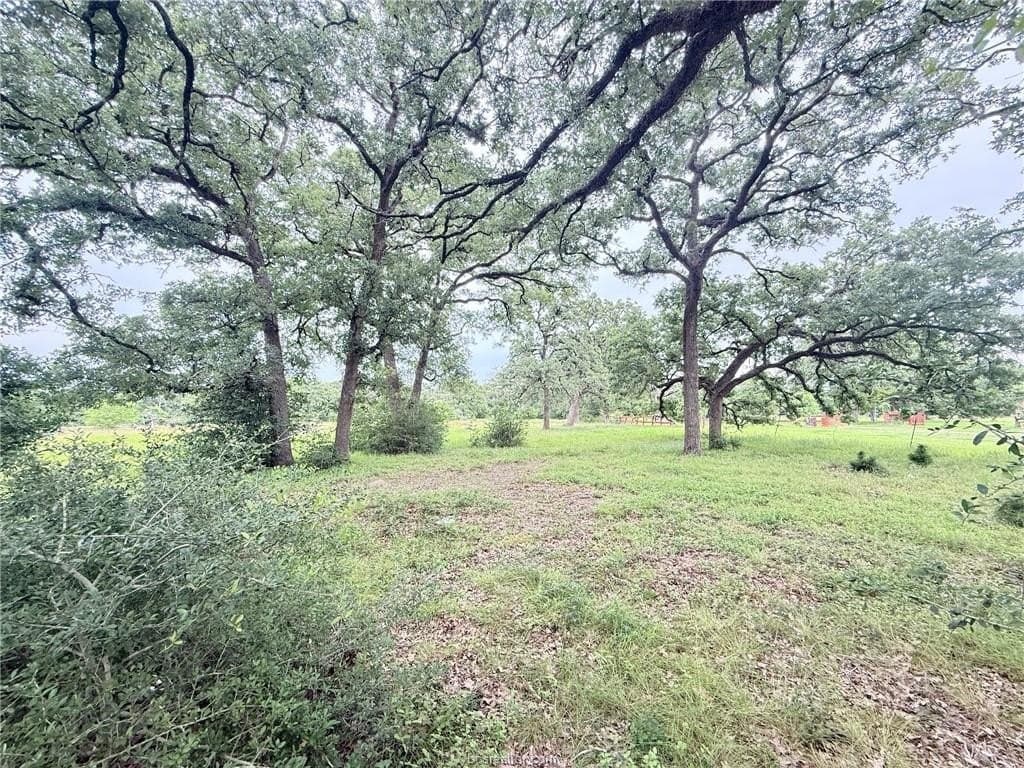 5.14 acres in Brazos County - photo 2