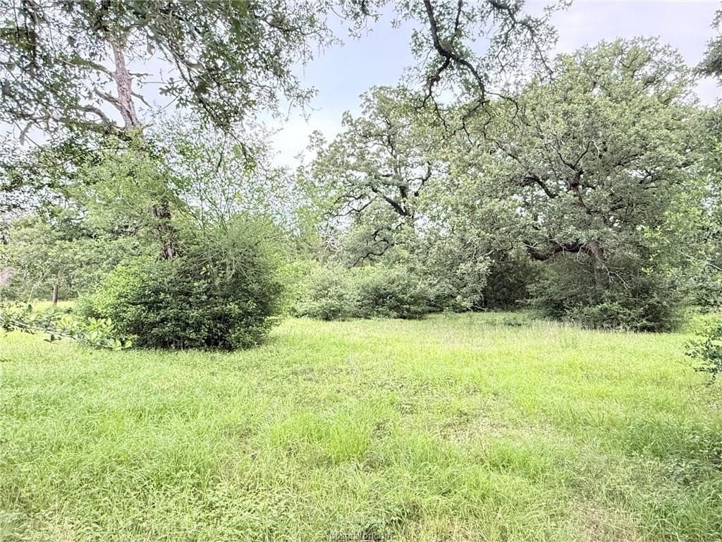 5.14 acres in Brazos County - photo 32