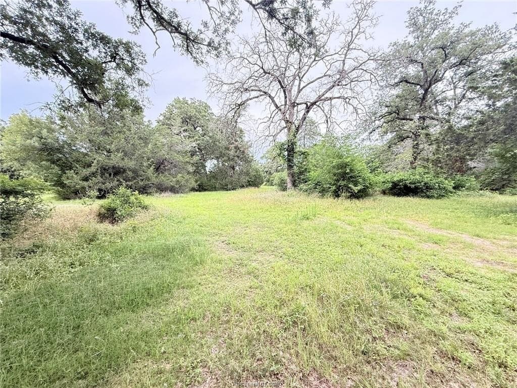 5.14 acres in Brazos County - photo 18