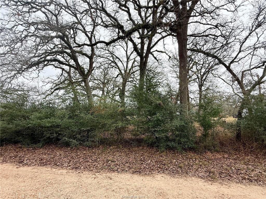 5.14 acres in Brazos County gallery image 4