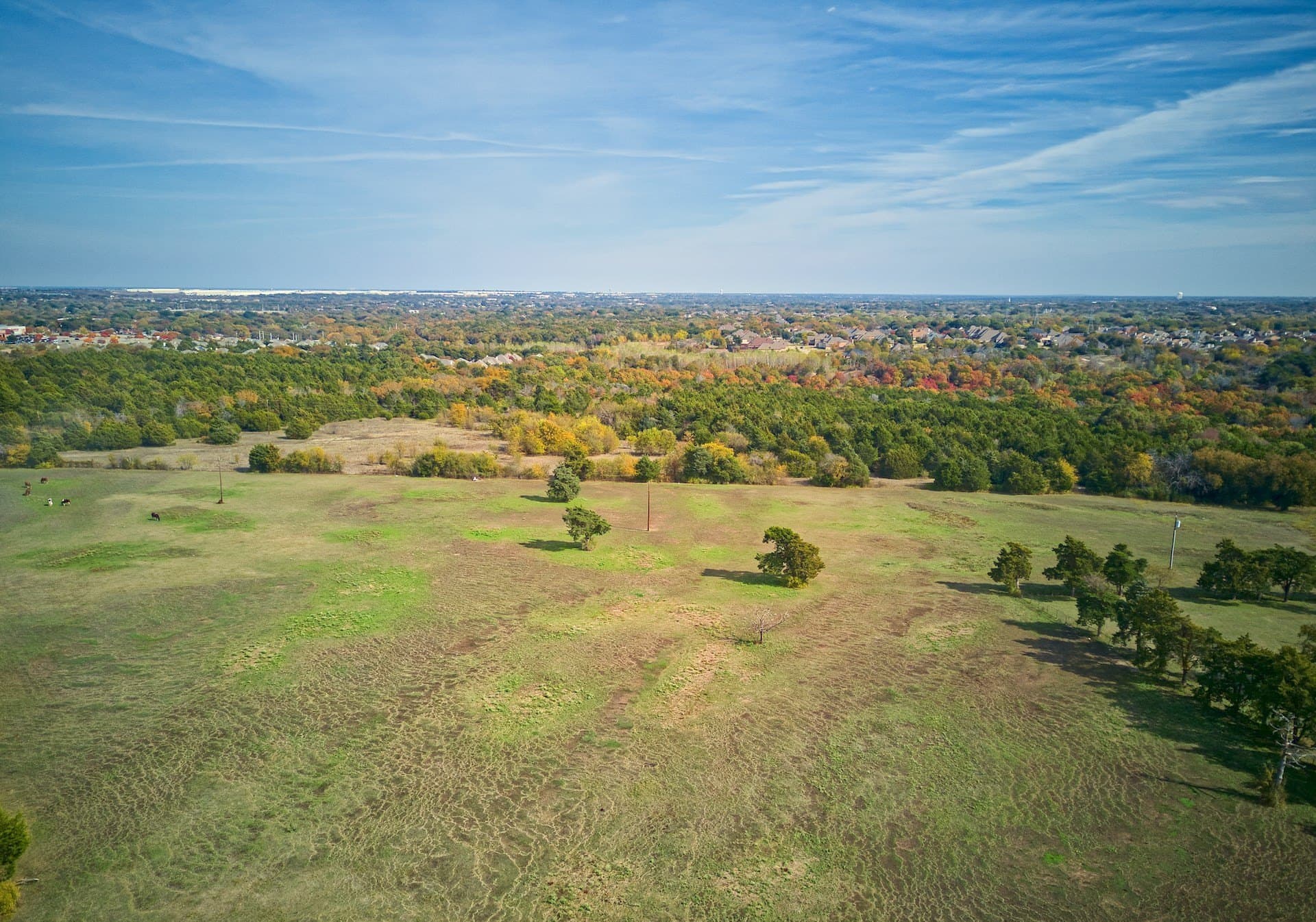 28.95 acres in Dallas County - photo 3