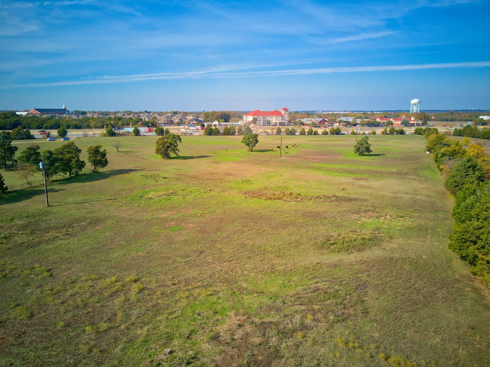 28.95 acres in Dallas County - photo 26