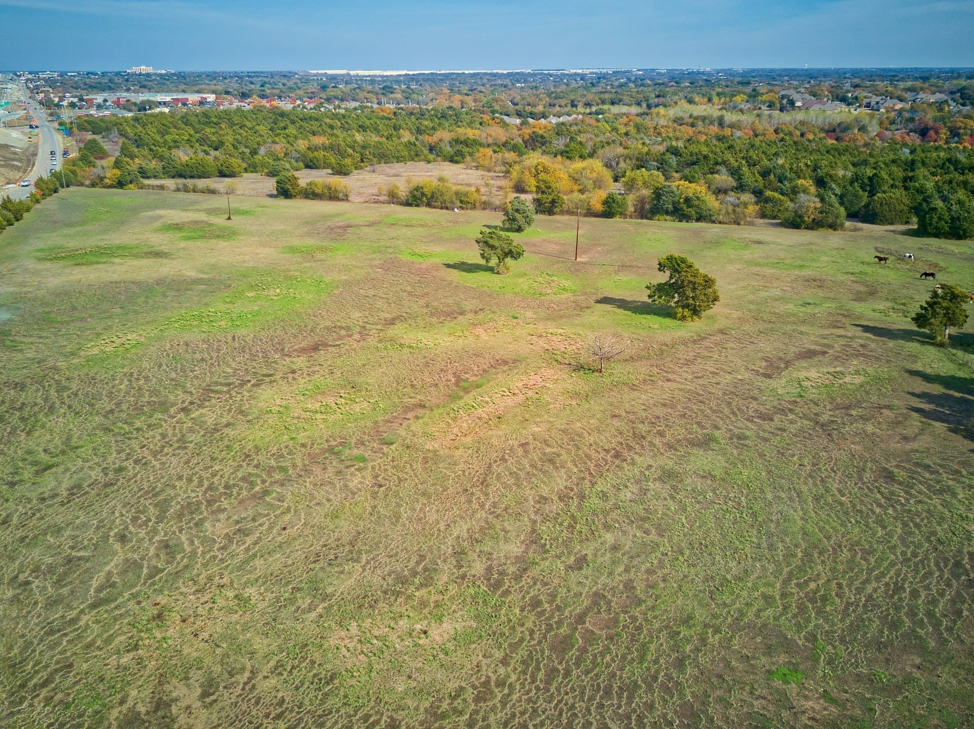 28.95 acres in Dallas County - photo 9
