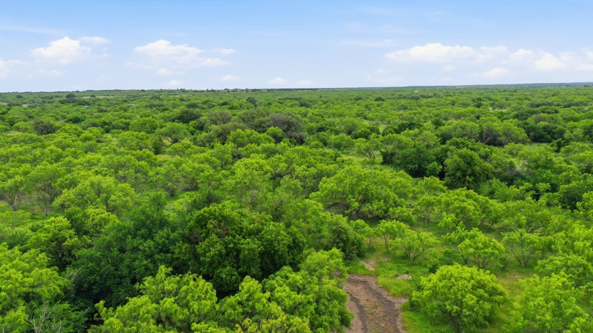 115 acres in Shackelford County - photo 14