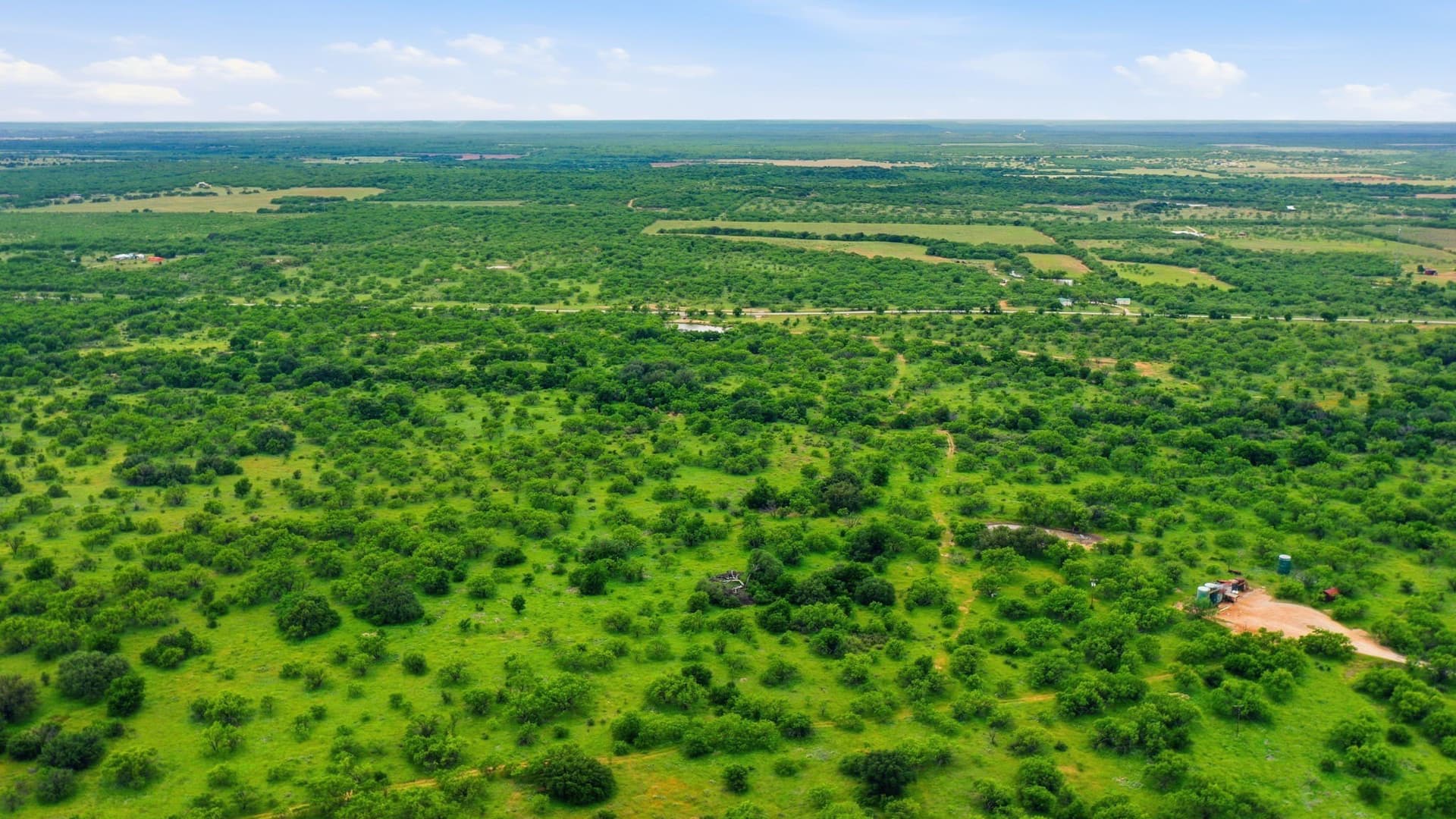 115 acres in Shackelford County - photo 9