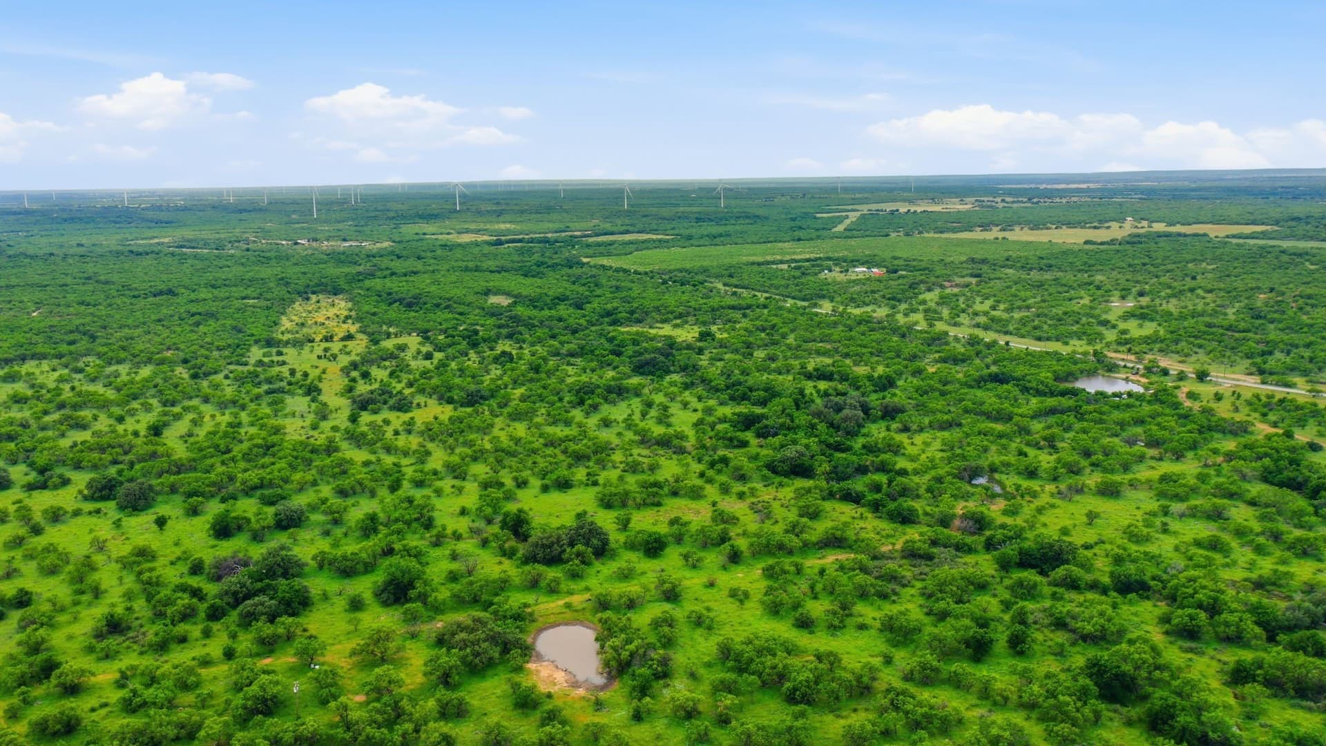 115 acres in Shackelford County - photo 10