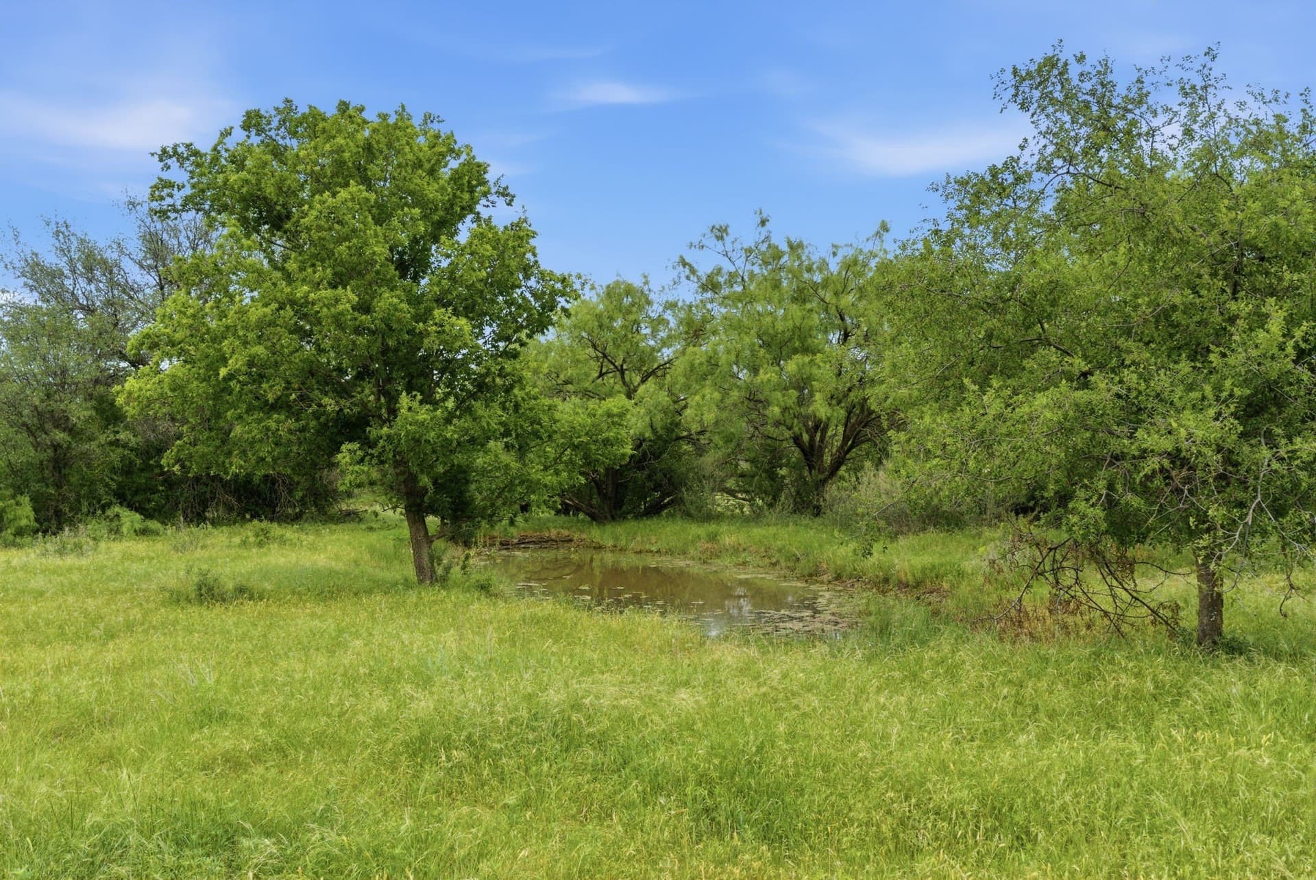 115 acres in Shackelford County - photo 4