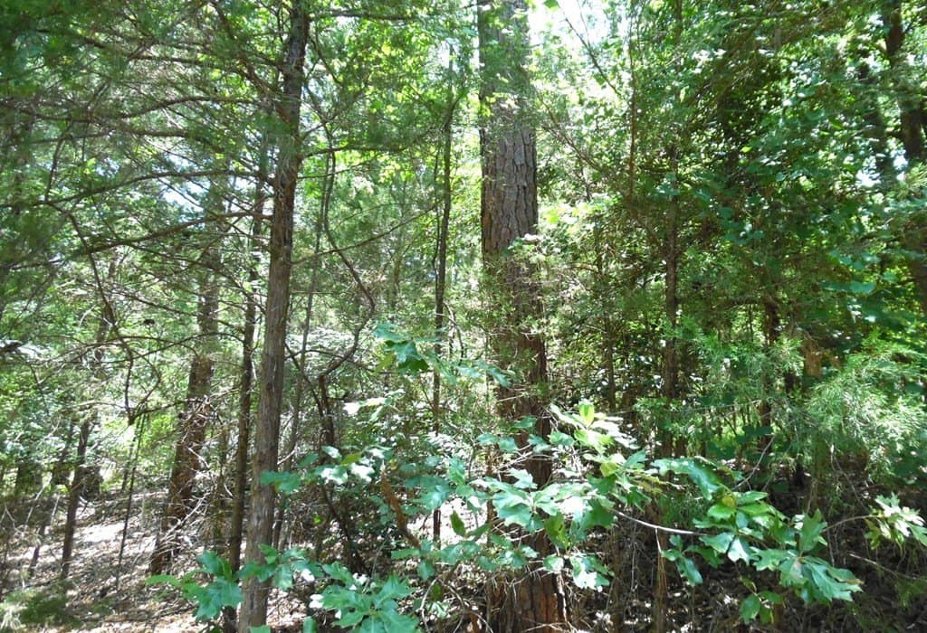 0.21 acres in Van Zandt County - photo 9