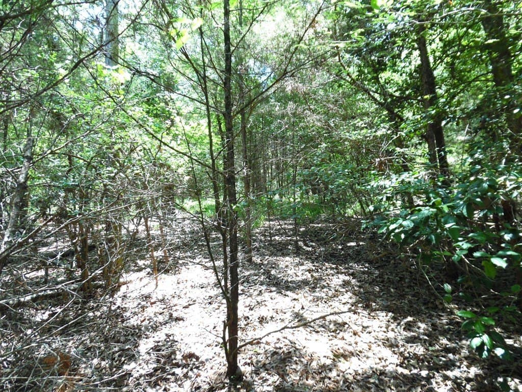 0.21 acres in Van Zandt County - photo 6