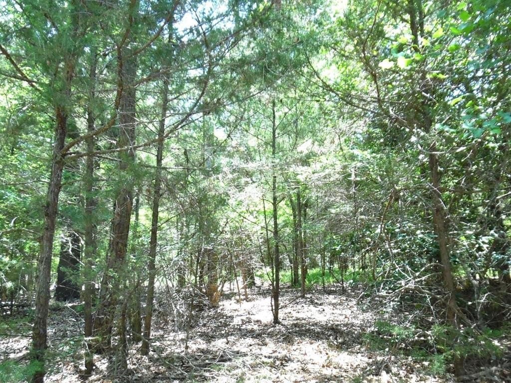0.21 acres in Van Zandt County