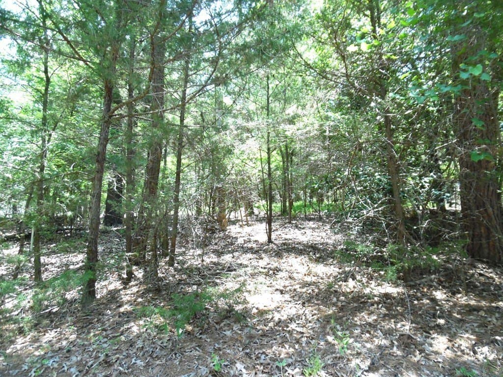 0.21 acres in Van Zandt County gallery image 3
