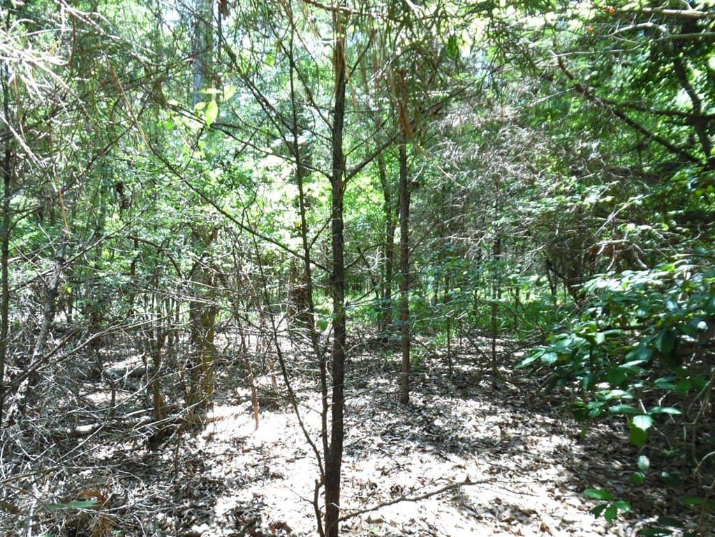 0.21 acres in Van Zandt County - photo 10
