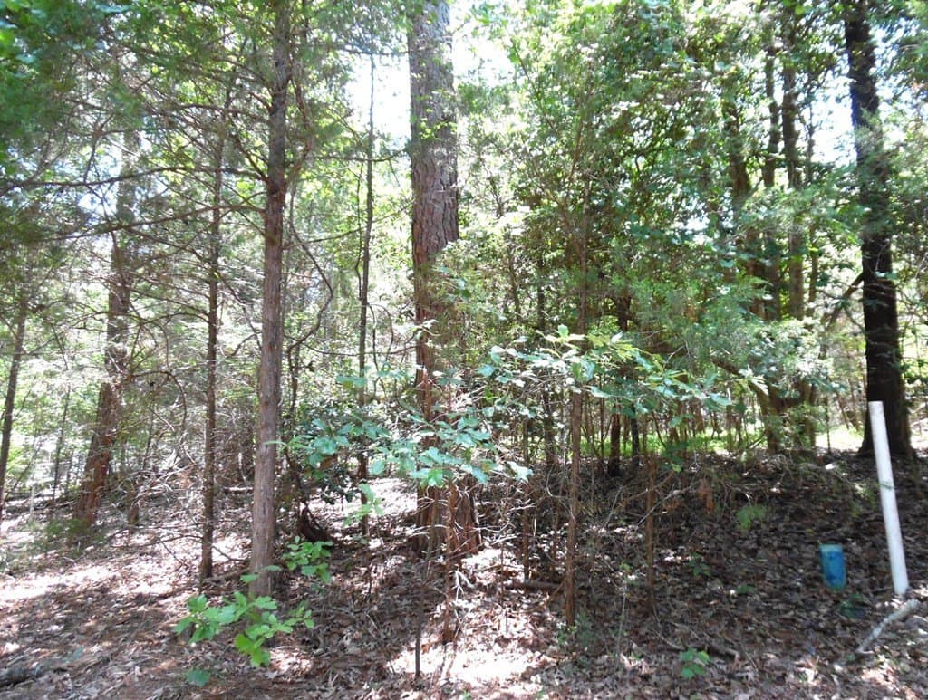 0.21 acres in Van Zandt County - photo 11