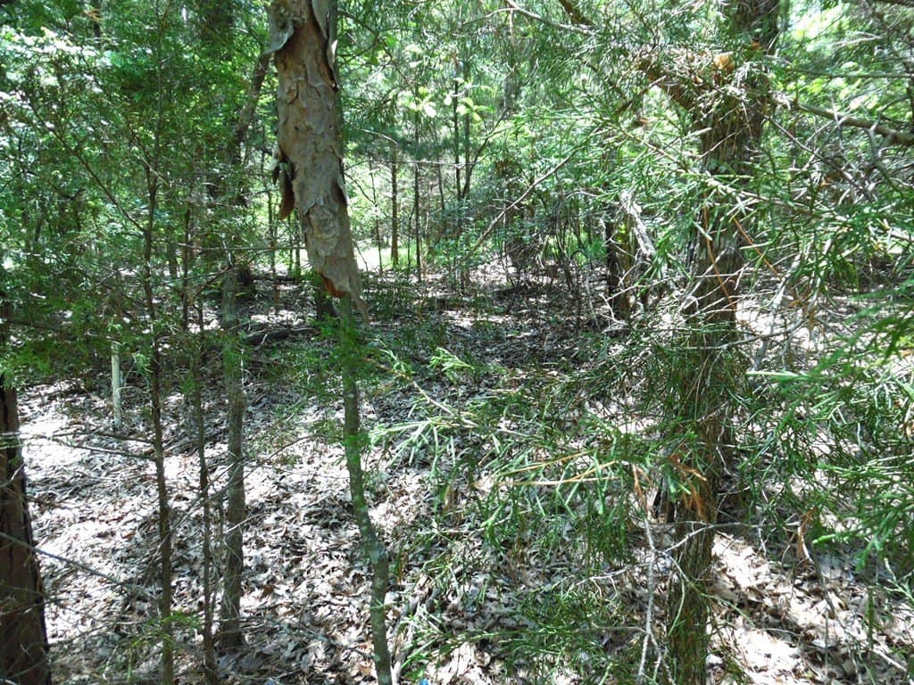 0.21 acres in Van Zandt County - photo 7