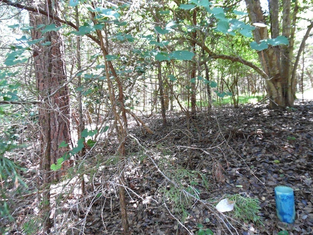 0.21 acres in Van Zandt County - photo 12