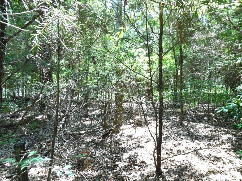0.21 acres in Van Zandt County - photo 8