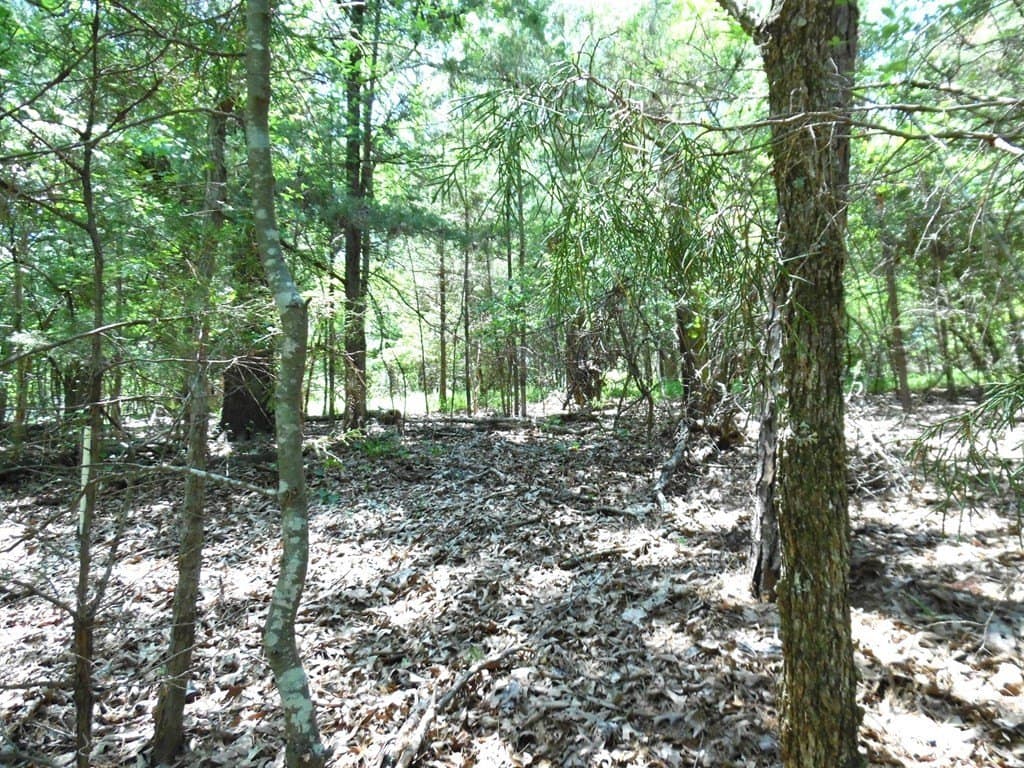 0.21 acres in Van Zandt County featured view