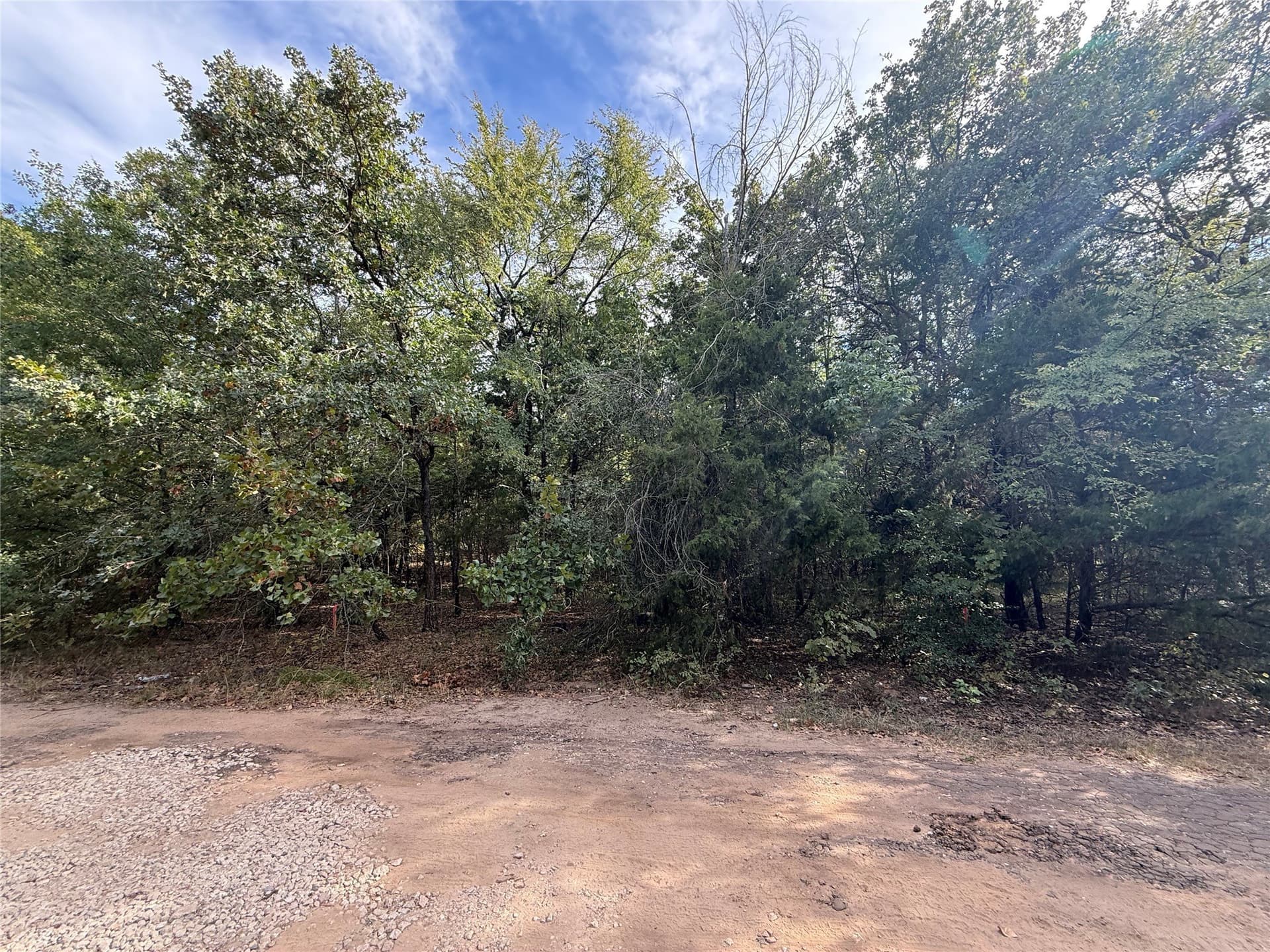 0.07 acres in Henderson County - photo 7