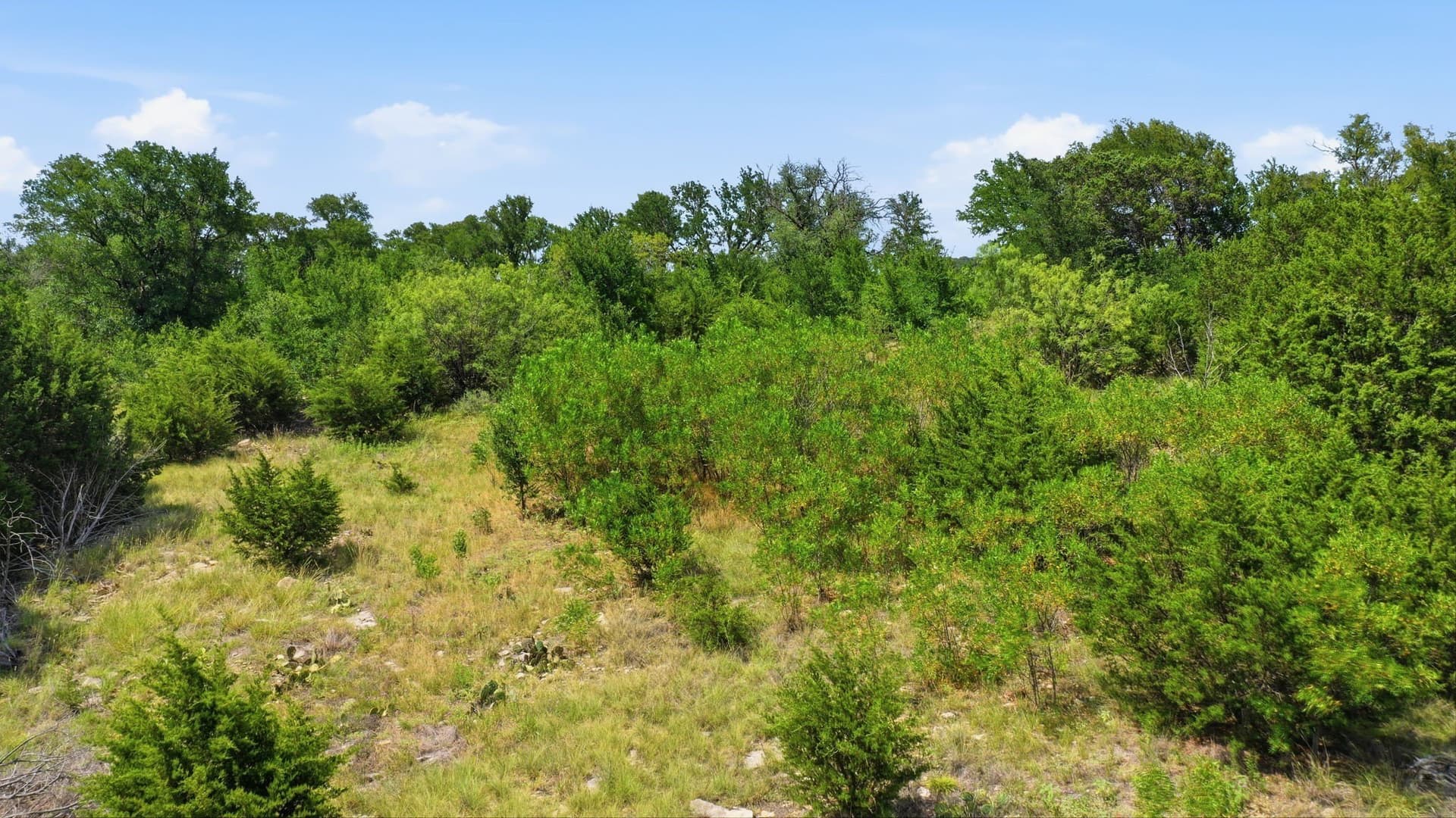 1.03 acres in Palo Pinto County - photo 16